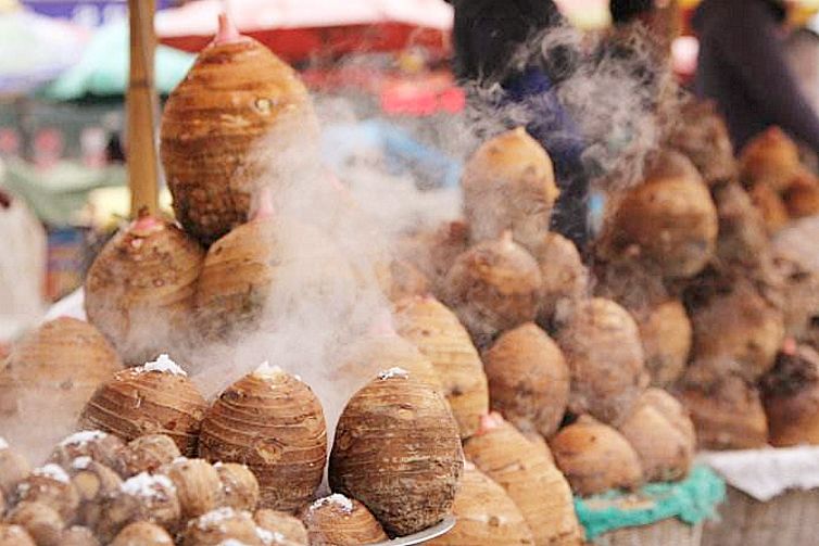 如果这世上真有桃花源,如果世间真的有伊甸园