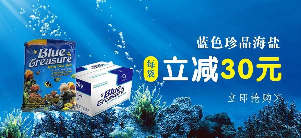 刚开缸爆藻的原因,爆藻期间藻断了