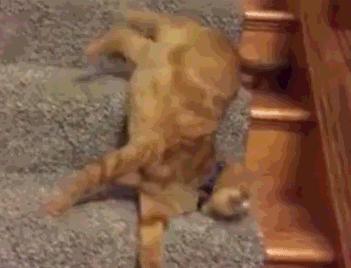 探秘！进入产房后会经历什么？别等生过才知道！