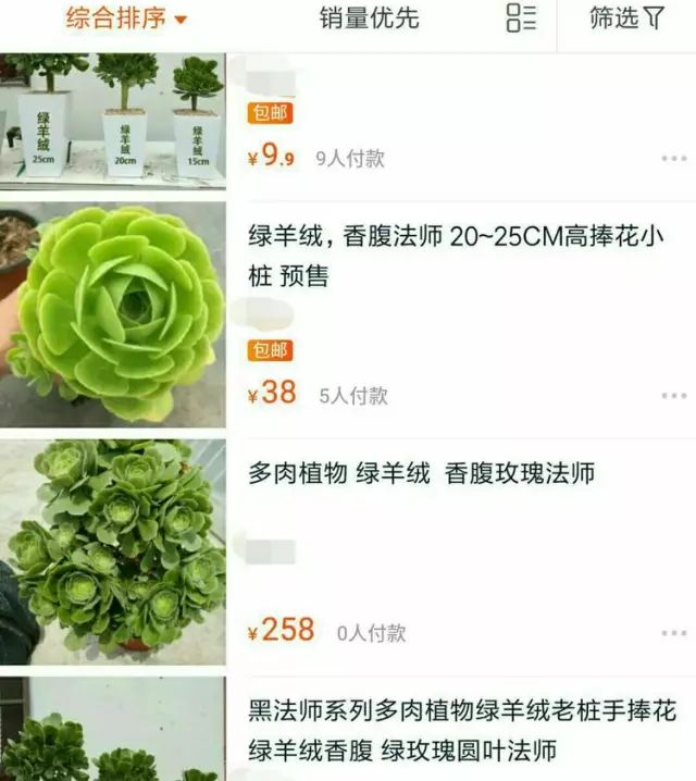 绿羊绒和香腹啥区别,绿羊绒是什么样的