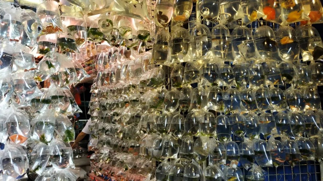 香港值得去的购物街,香港购物必去的街