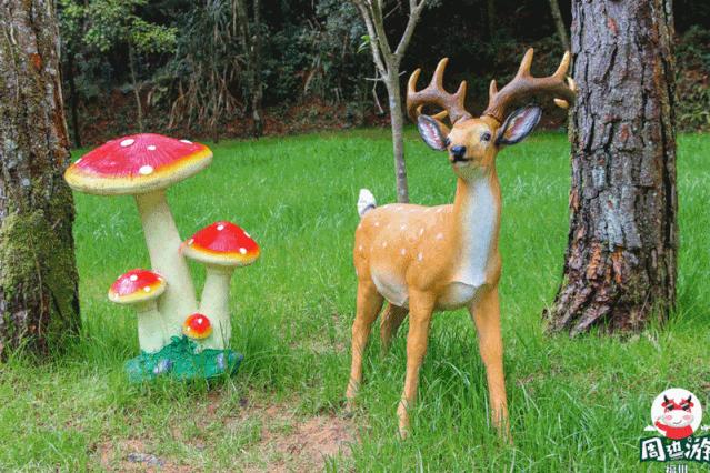 福州周边赏花自驾游,福州十大赏花好去处