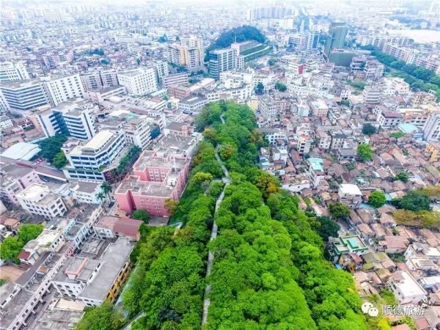 佛山凉快一点景点,佛山附近凉快的地方避暑胜地