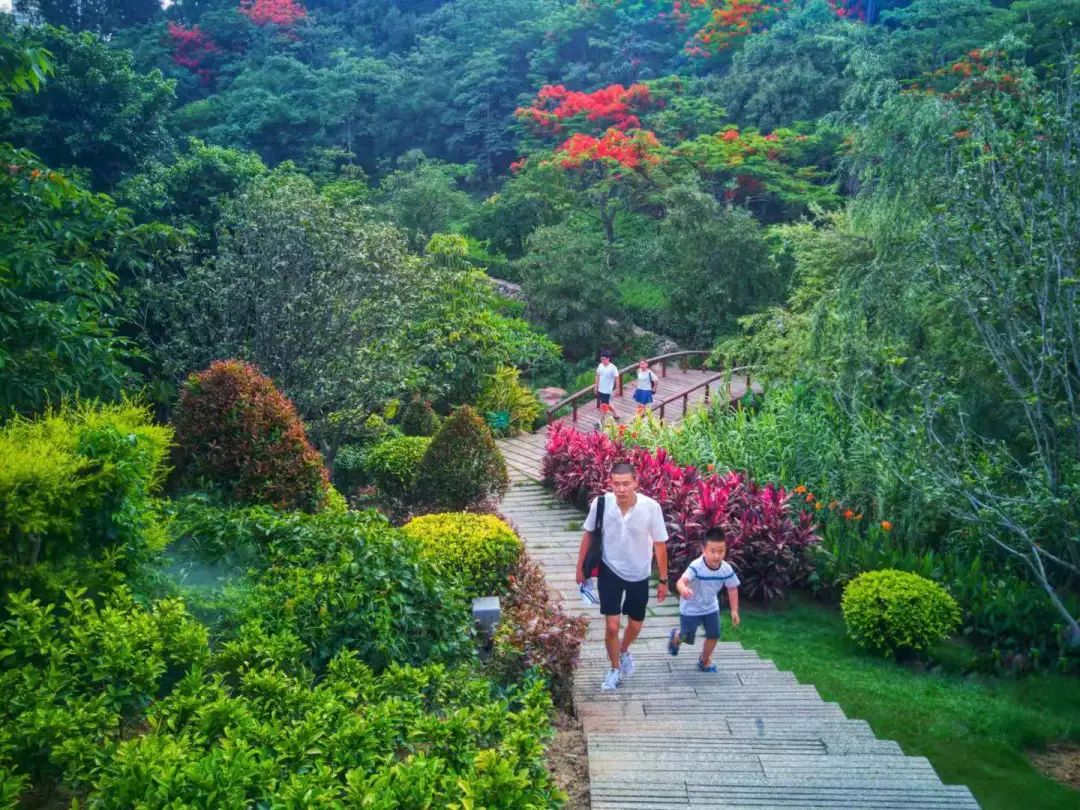 厦门攻略必逛,厦门最详细的攻略来了