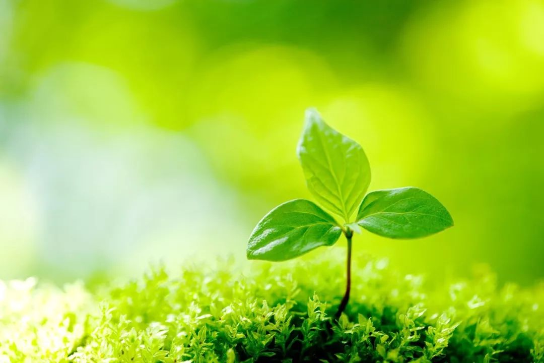 长知识的十本书,一看就错的字100个