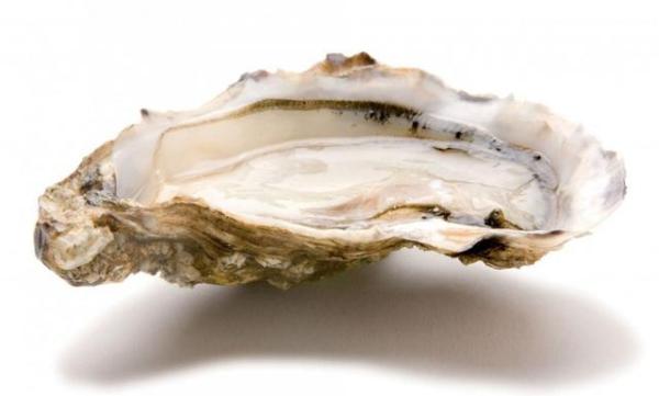 蚝不一样法国生蚝,最好的法国生蚝