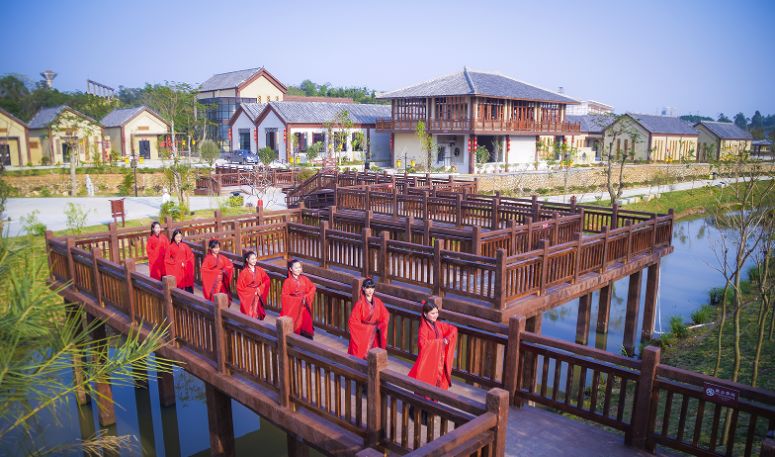 北海珍珠展视频,北海南珠展