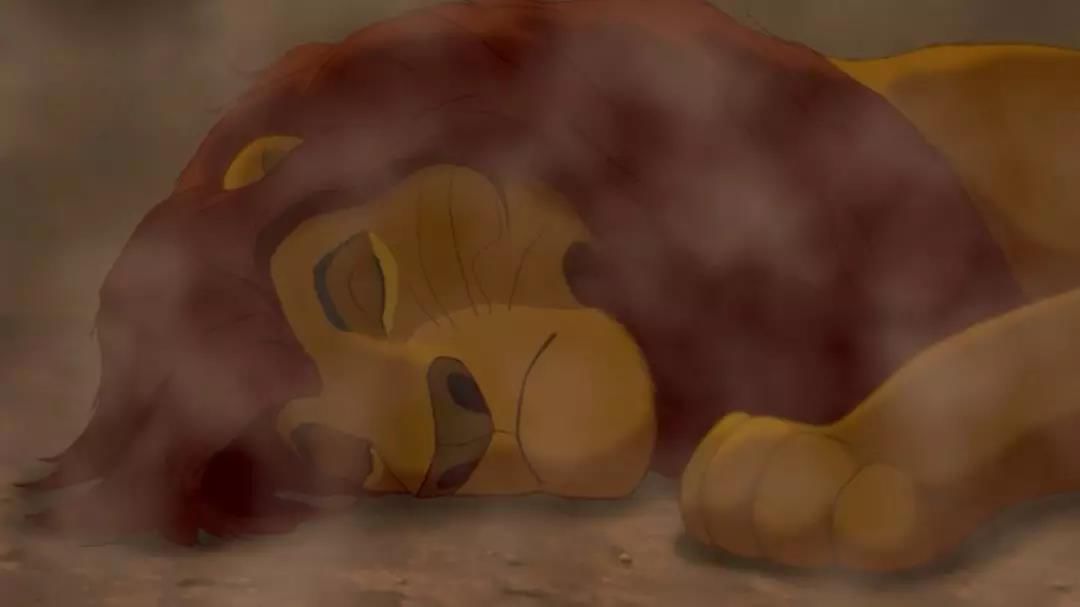 现实版狮子王比想象的更残酷,狮子王真狮版狮王之死