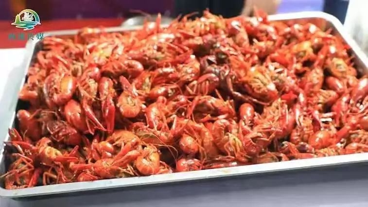 定了！我的婚礼就在8月4日