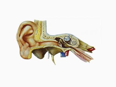 耳朵游泳进水嗡嗡响出不来,游泳耳朵里进水排不出来怎么办