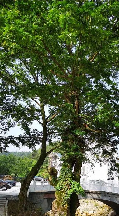 小众旅游景点五星级酒店,5a景区住宿旅馆