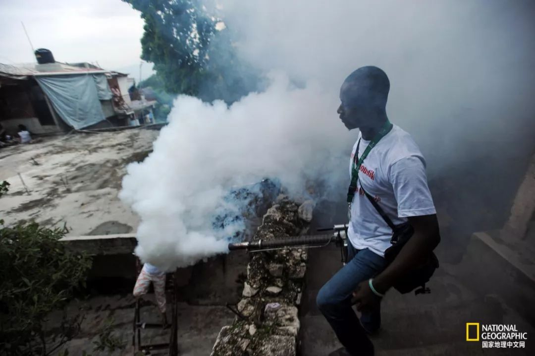 北极蚊子都泛滥了，咱被咬两口就别哭了