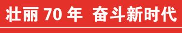 江苏扬力集团有限公司林国富,壮丽70年奋斗新时代简介