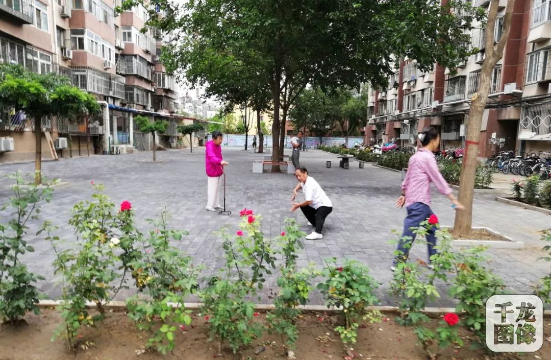 霍营违建,美化环境拆违治违