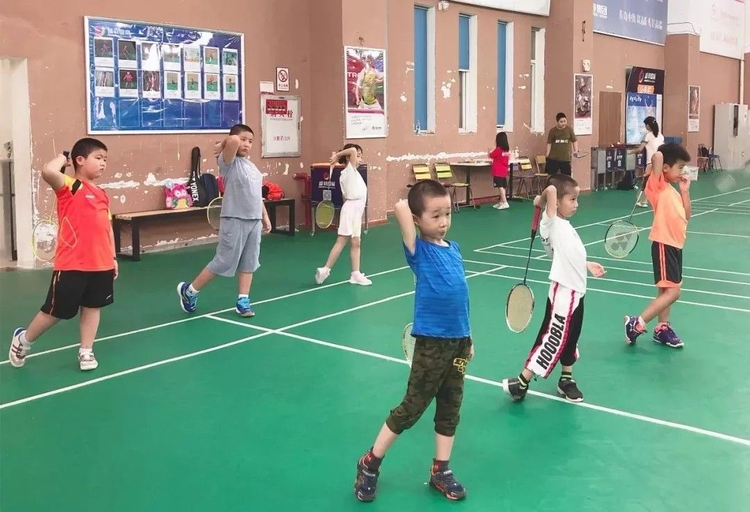 林丹与孙杨谁更厉害,林丹孙杨张继科陈若琳