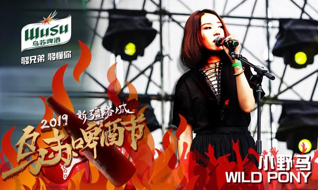 2017年乌苏市啤酒节,2019乌苏音乐节赵雷