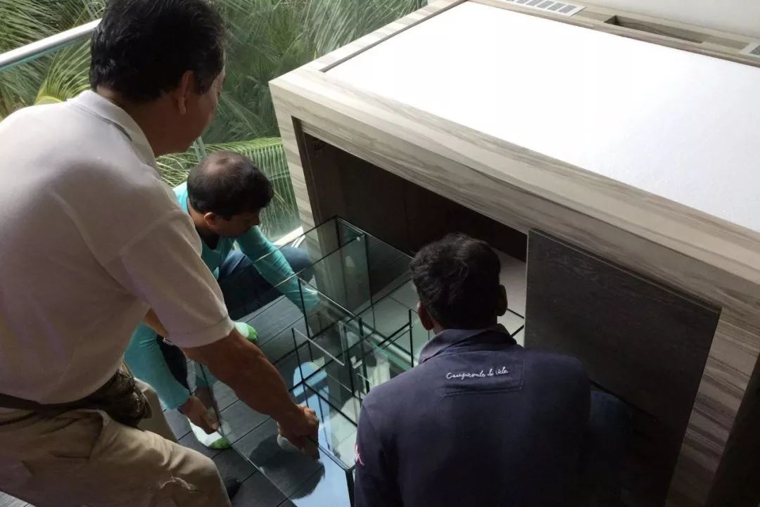 新开缸每天都有鱼死,新开缸鱼一直死