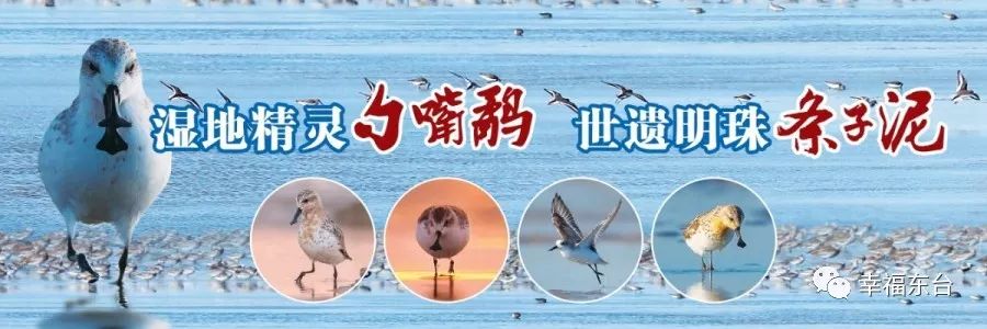 东台中学军训,东台初中军训