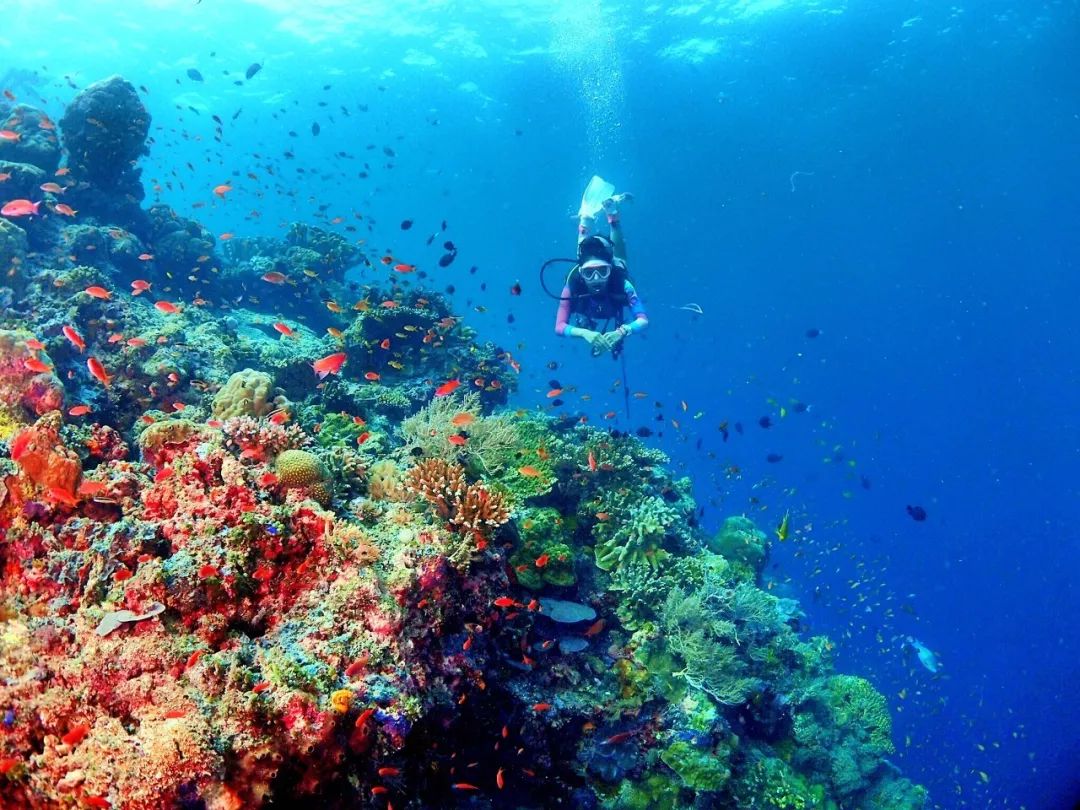 东南亚最值得去旅游的地方,东南亚适合旅游的目的地