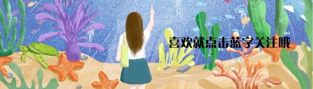 亲子游 | 细数那些暑期带娃出行的必备神器