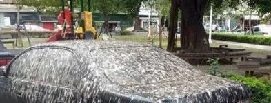 鸟屎为什么是白色的,鸟屎为什么有各种颜色