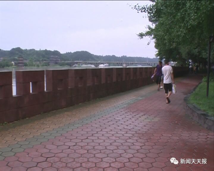 盘点细思极恐的虫子,盘点你不知道的虫子