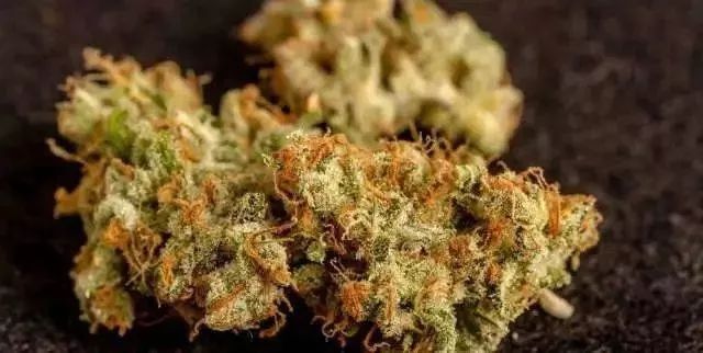 绿色无毒健康人生禁毒主题,垃圾分类和禁毒知识主题手抄报