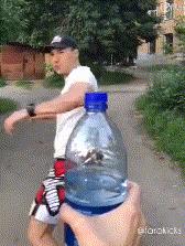 踢瓶盖挑战视频集锦,韩国人看各个国家踢正步