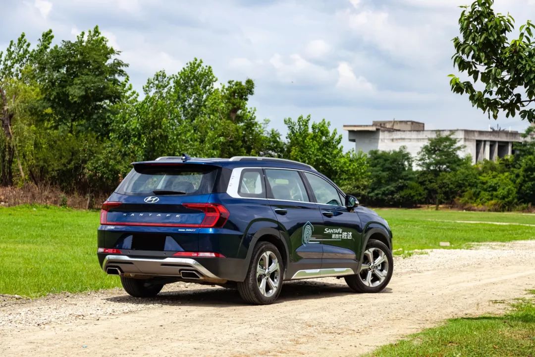 幸福从不缺席视频,幸福从不缺席