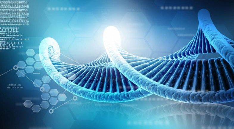 中国大健康产业干细胞领军人物,细胞存储产业发展研究报告