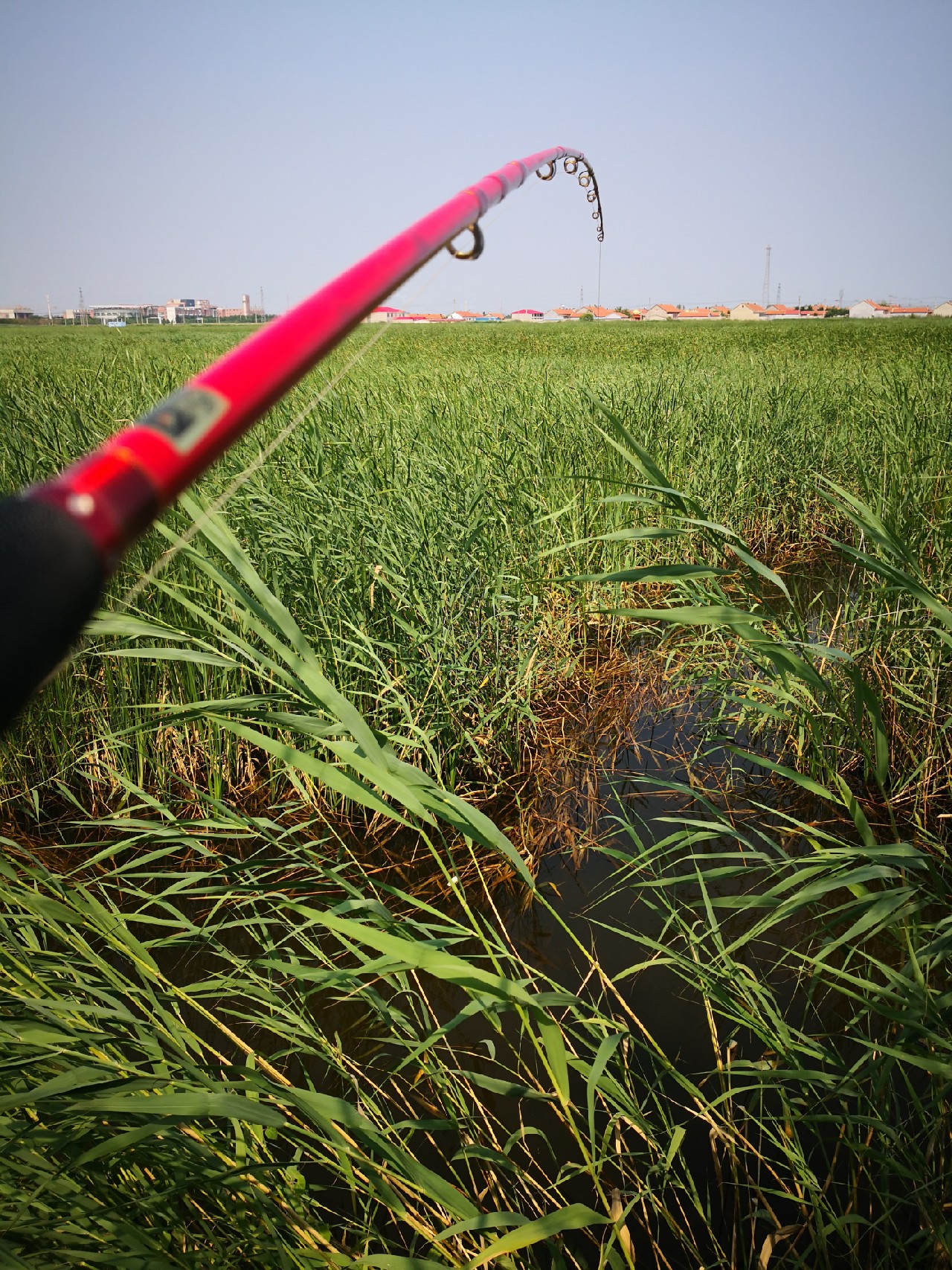 廉颇老矣尚能饭否下句,廉颇老矣尚能饭否下一句神回复