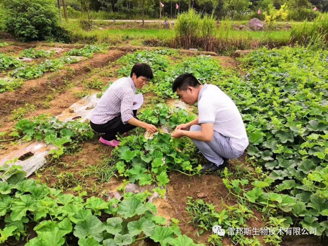 农资年入百万,农资挣钱