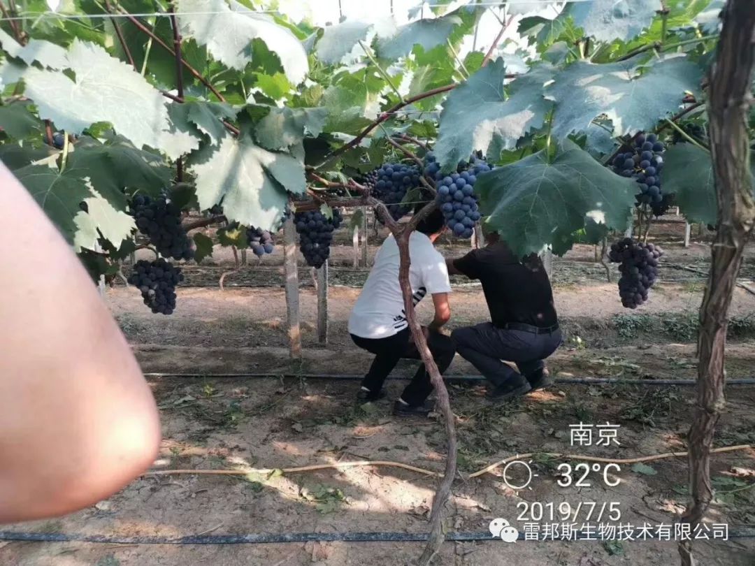 农资年入百万,农资挣钱