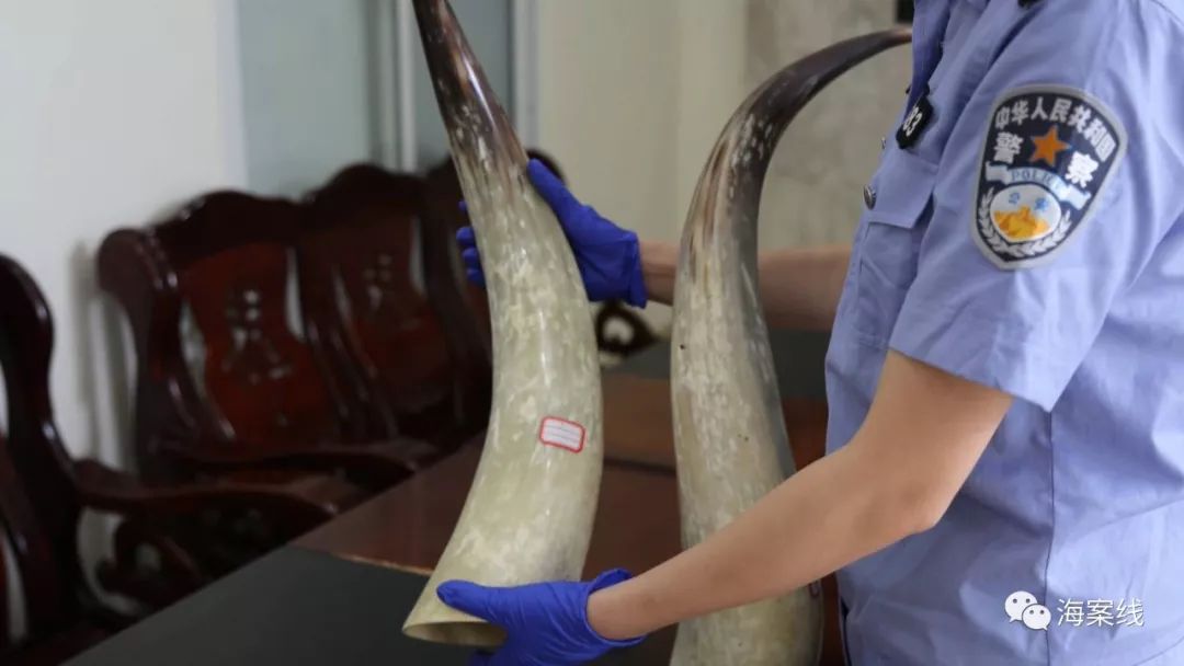 南宁抢劫最新消息,南宁新闻抢劫