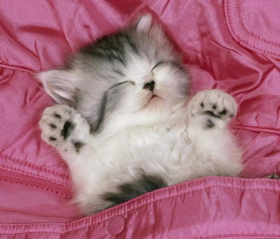 健身精丨还在“葛优瘫”追剧一整天？减肥十二时辰快了解一下