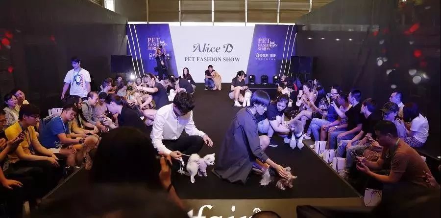 23届亚洲宠物展集结,宠物亚洲展