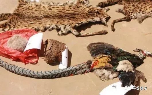 那些被误解的环保知识,环保小知识简短