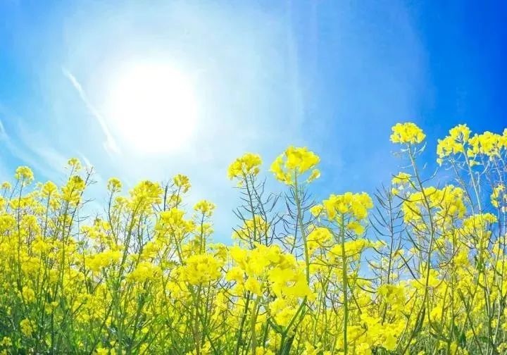 一分钟了解邯郸邯山区,邯郸邯山区介绍