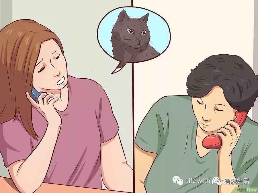 如何捕捉泥鳅,如何捕捉苍蝇