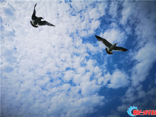 烟台海边长岛美景,烟台最美海岛之长岛