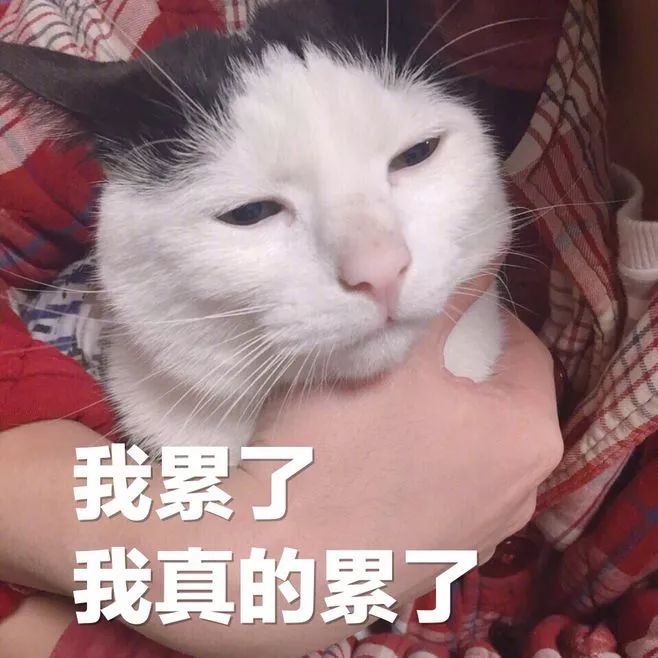 多少报账的研究生，最后都熬成课题组大师兄...