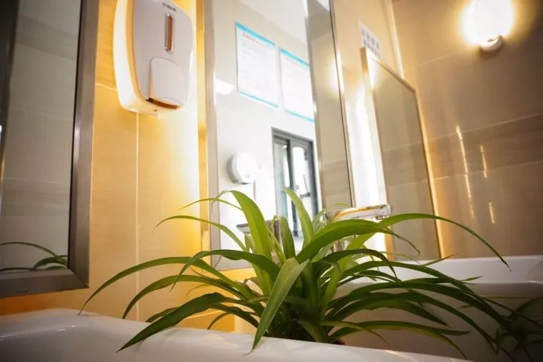 芜湖市五星级厕所,最好看的五星级公厕