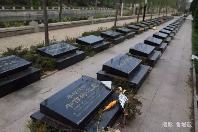 单县最值得去的地方,单县值得去的地方