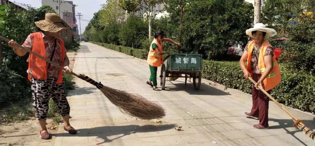 高温下，磁县娇艳的“城市黄玫瑰”