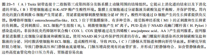消化道出血概述,上消化道出血诊疗指南最新解读