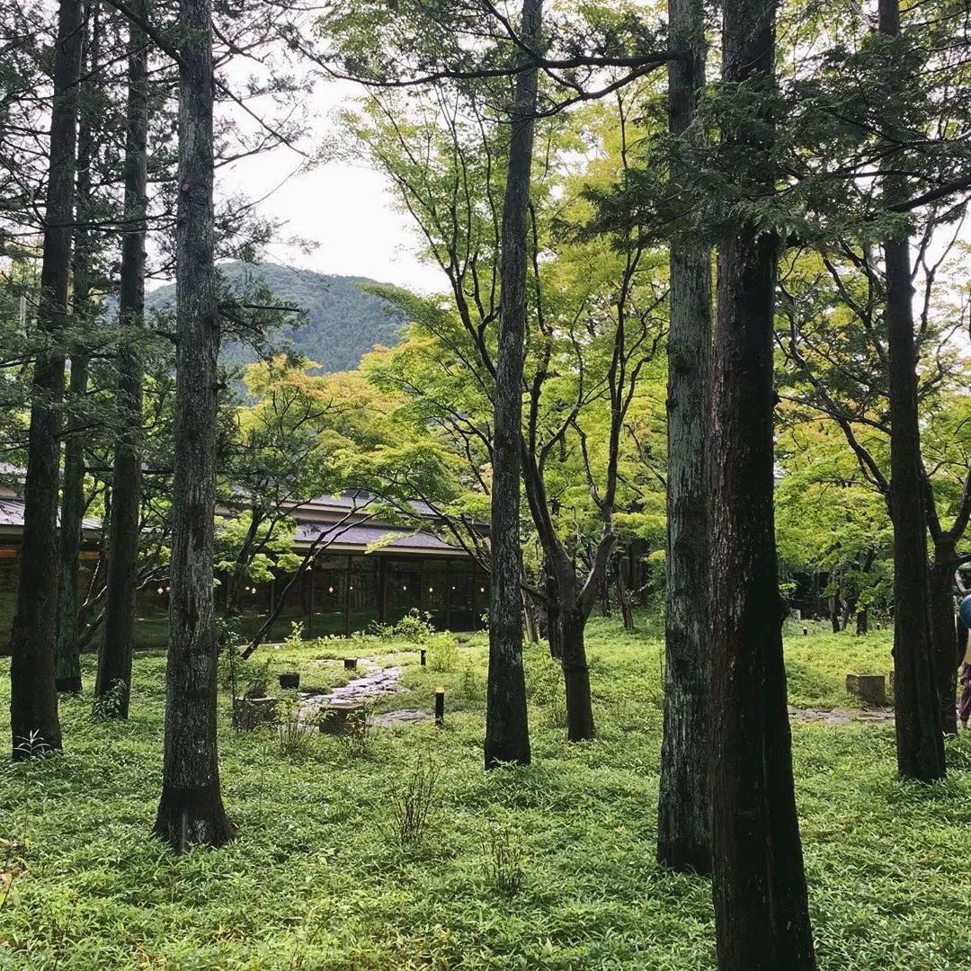 藏于山水间的温泉酒店推荐,海螺沟温泉度假酒店推荐