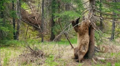 皮肤瘙痒止痒特效处方,皮肤科止痒外用药物