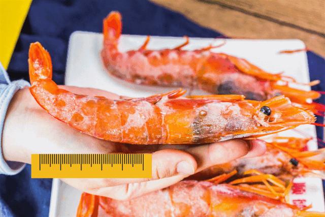 1元/只海白虾,2.8元/只鲍鱼,3.8元/只碳烤生蚝!啤酒喝一瓶还送一瓶!这家人气平价海鲜火锅老店让你嗨翻整个今夏