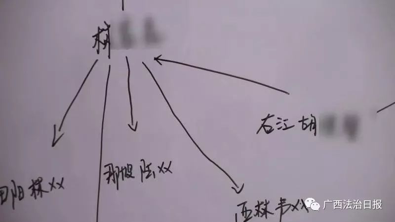 百色苗药假药案件,广西百色销售假药案