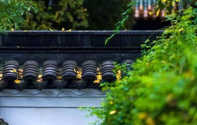 除了鸭血粉丝汤还有啥汤,南京值得去的鸭血粉丝汤